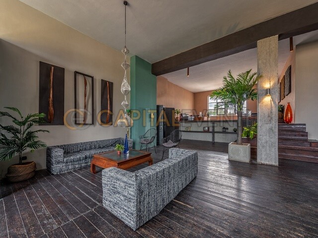 Coho Loft Roma 1