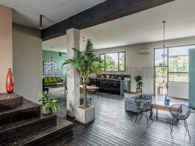 Coho Loft Roma 5