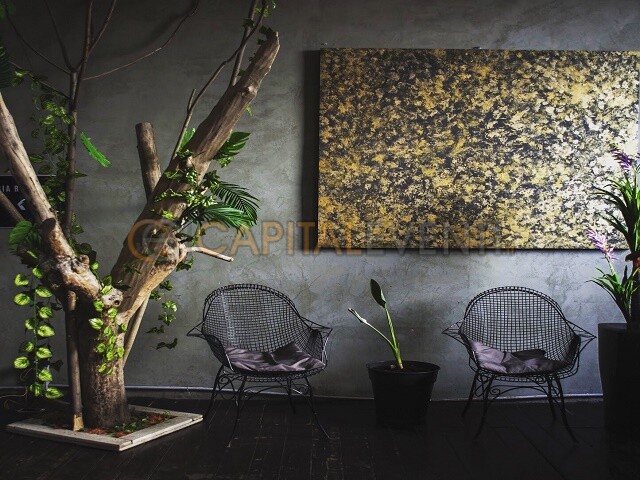Coho Loft Roma 6