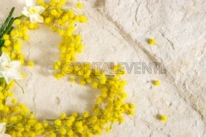 Festa della donna